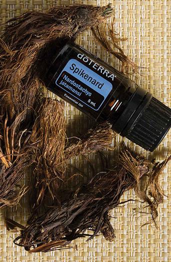 dōTERRA Spikenard Essential Oil - 5ml