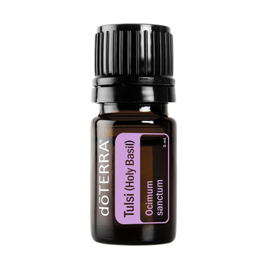 Tulsi (Holy Basil) Oil