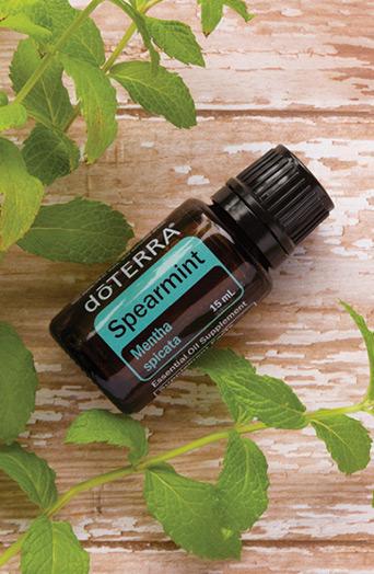 dōTERRA Spearmint Essential Oil - 15ml